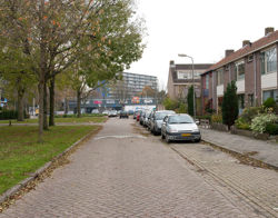 Pluutstraat