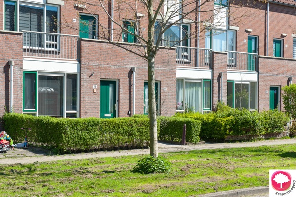 Straat met rijtjeshuizen