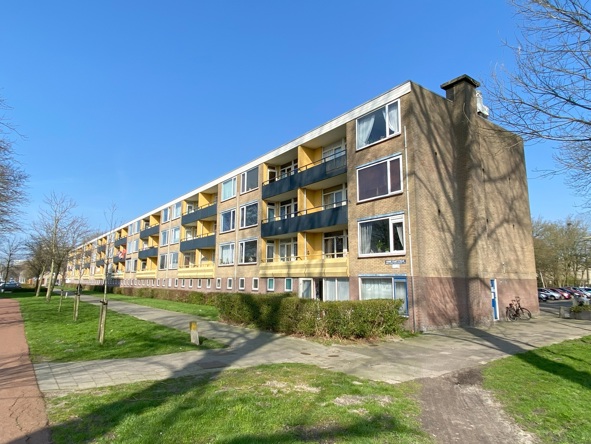 IP44.DE piek Strahler LED main image 0