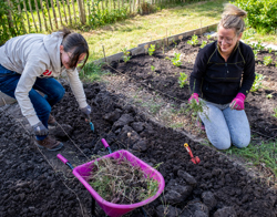 Twee collega's Intermaris lachend aan het werk in moestuin